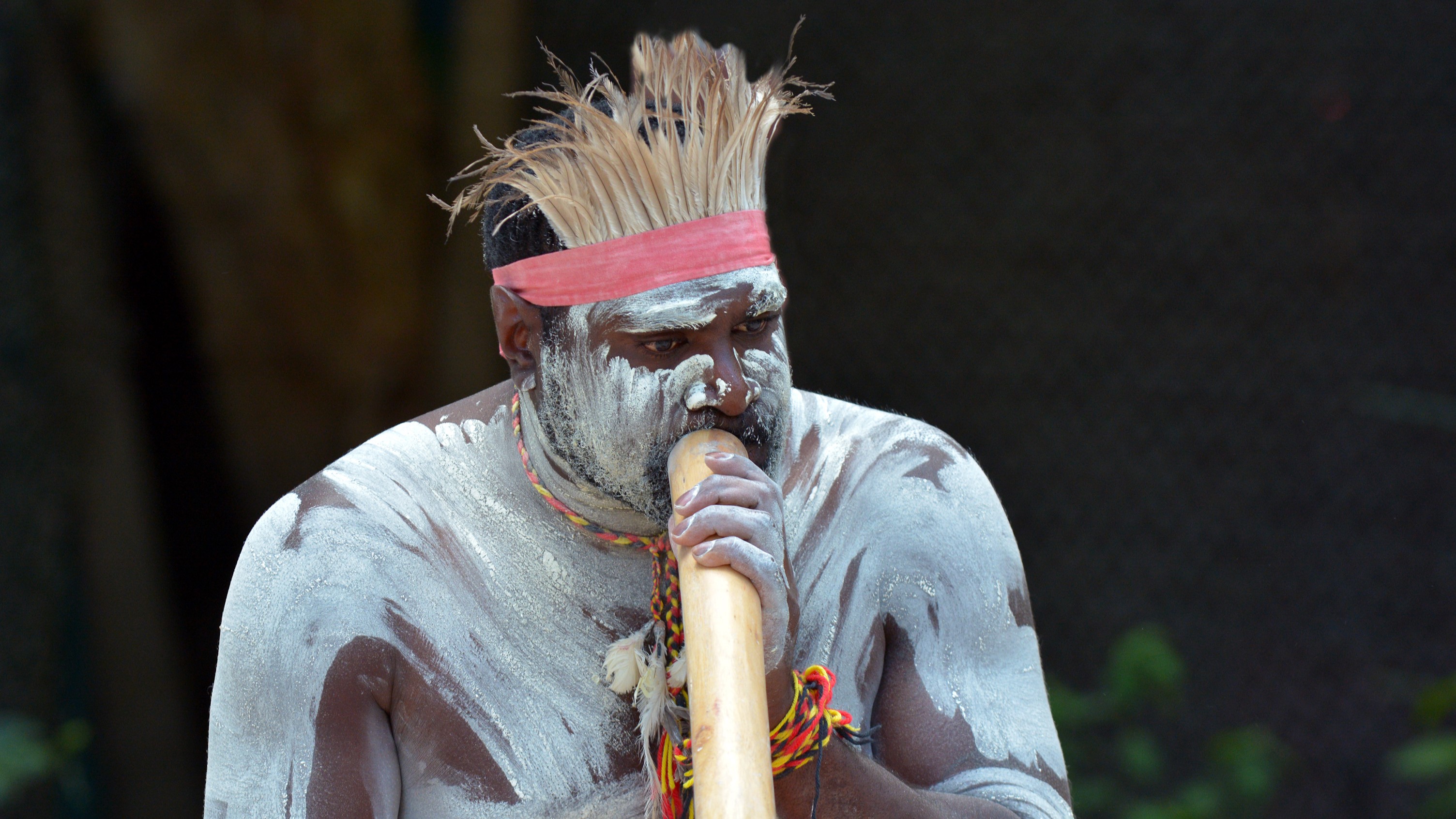 A Yugambeh man plays didgeridoo during a culture show in Queensland, Australia. The practice is estimated to be 1500 years old (though some say 40,000 years).