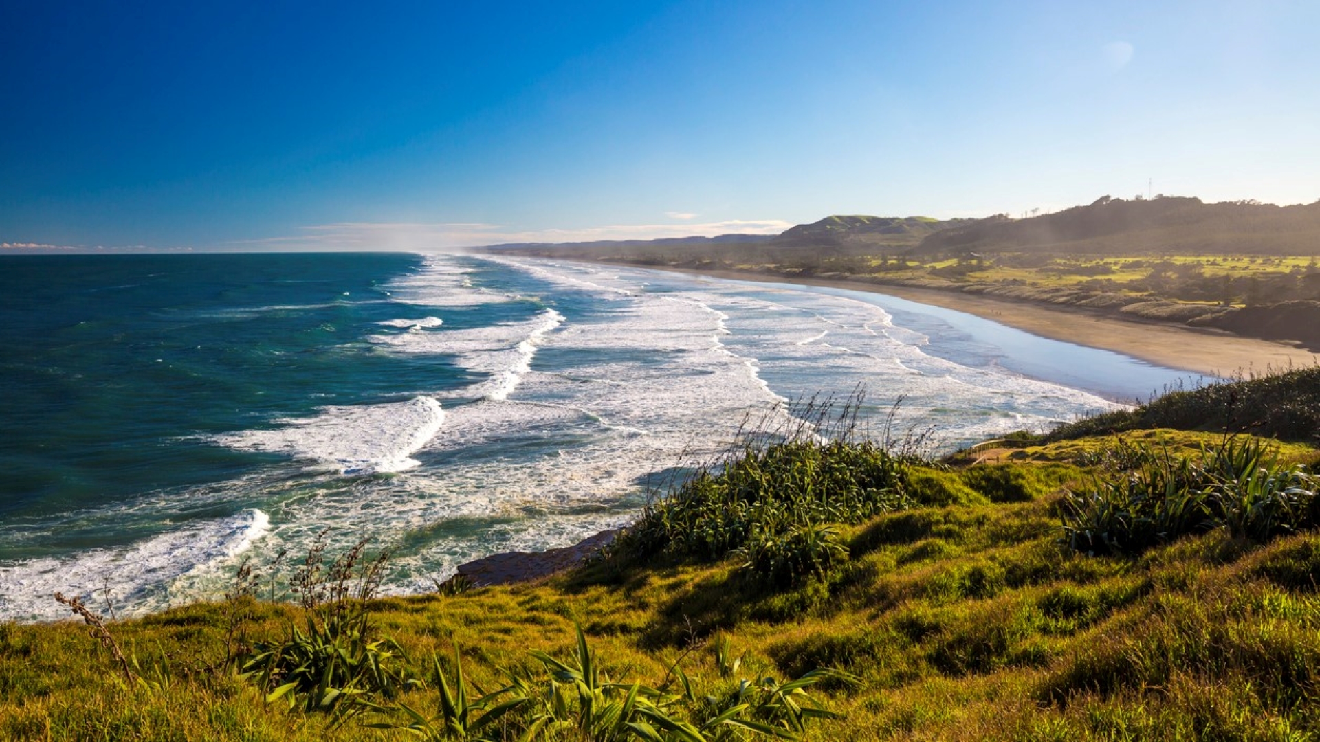 Muriwai Beach (file image).