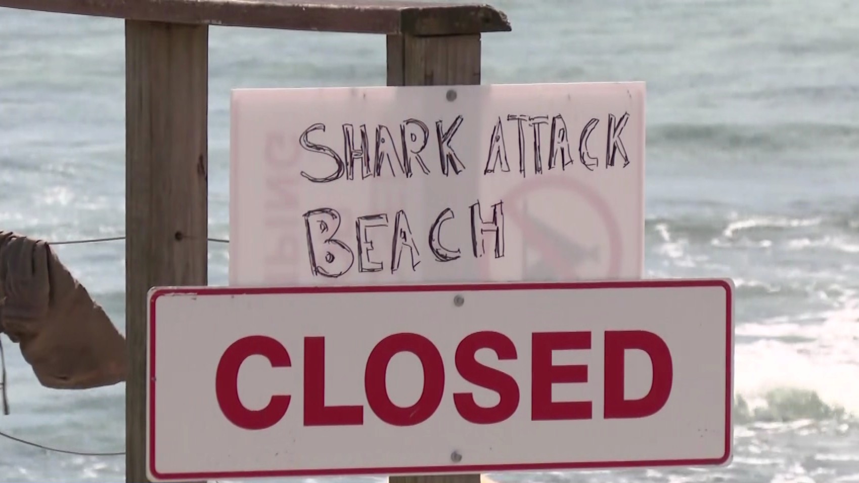 Sydney's popular Coogee Beach was closed over the weekend following a shark attack.