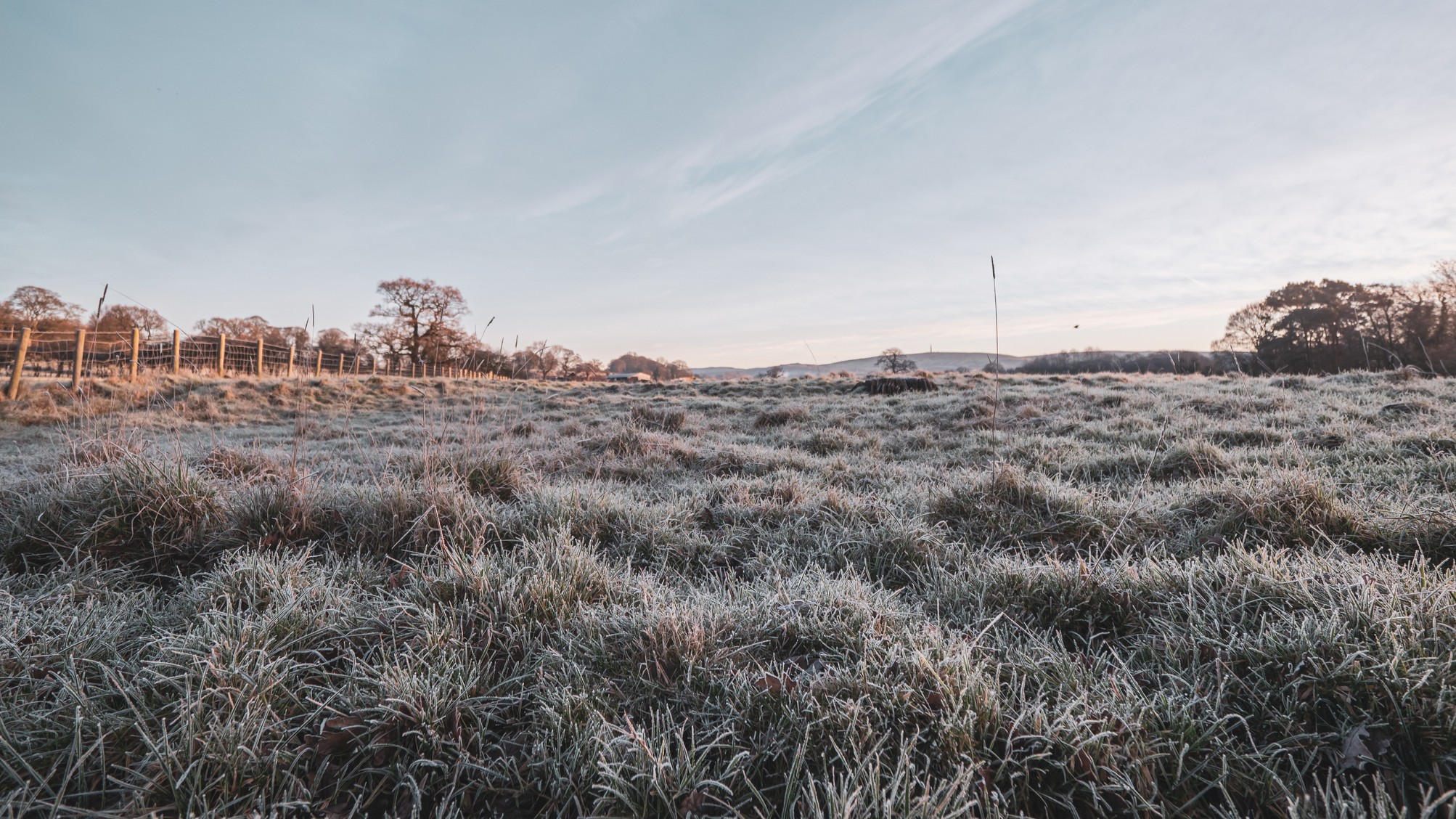 A frosty morning (File image). 