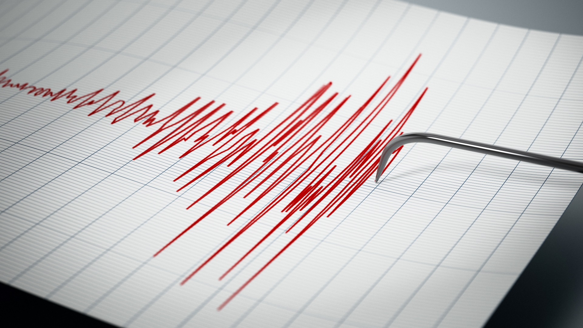 A seismograph shows an earthquake (file picture).