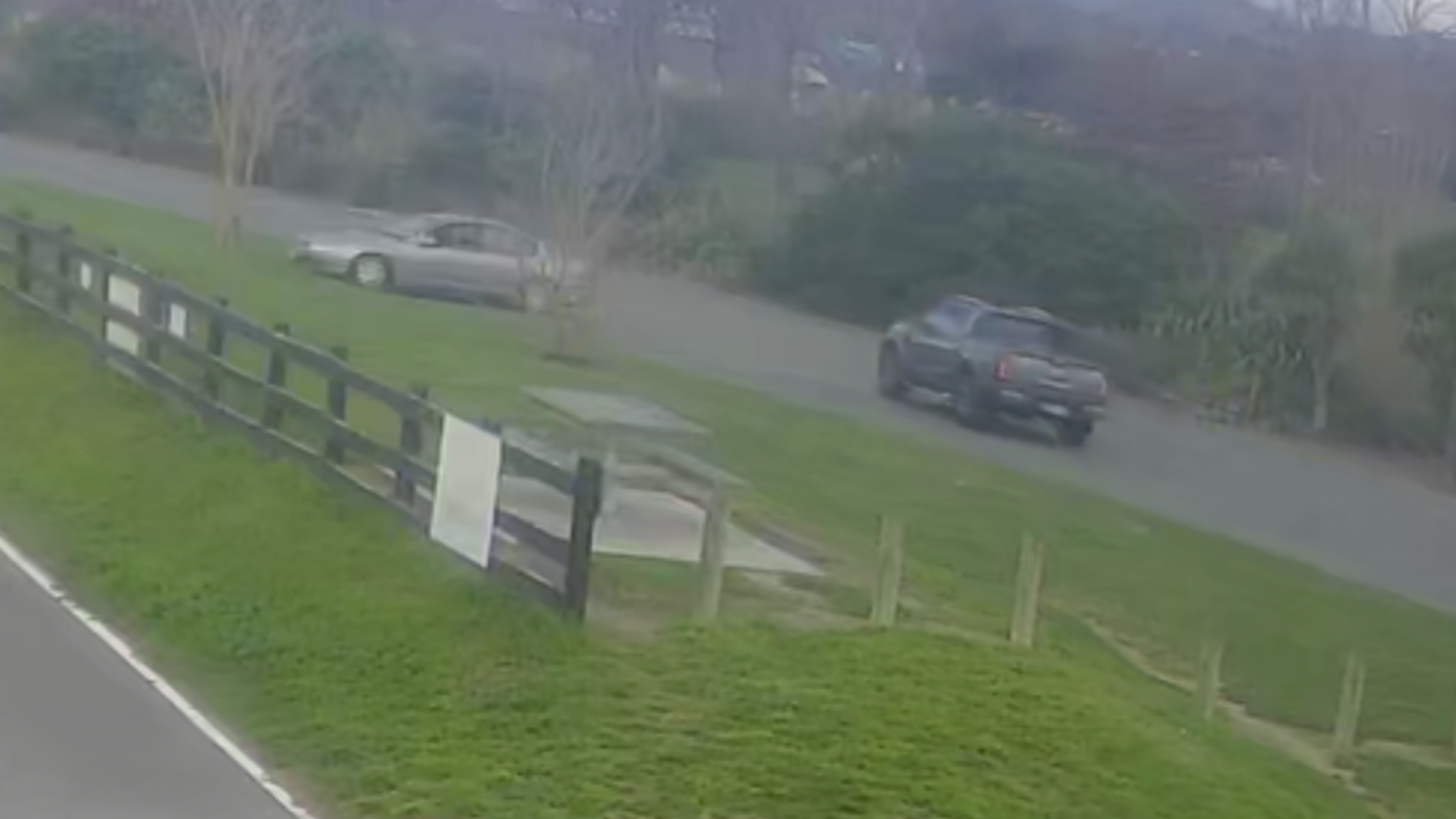Police want information on the ute pictured centre-left following an assault in a Havelock North's Guthrie Park.