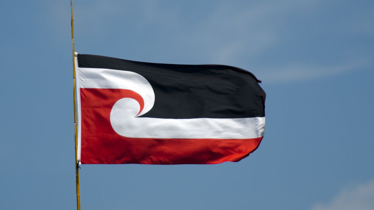 The coalition government's plans have caused consternation among Māori, prompting this weekend's national hui.