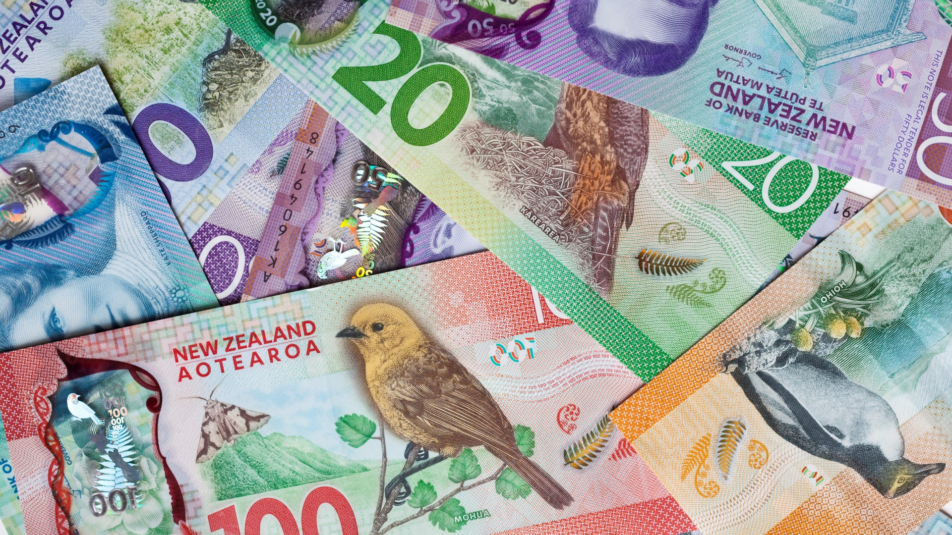 New Zealand bank notes (file picture).