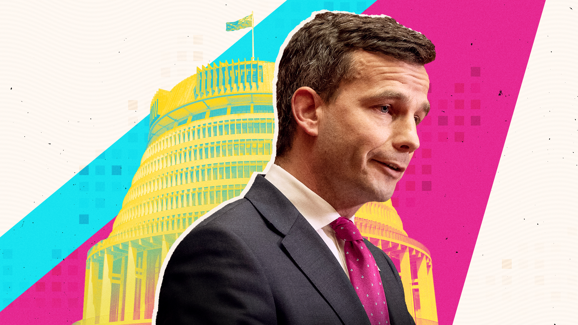 The Treaty Principles Bill was a key part of Act leader David Seymour's demands in the coalition talks following October's election.