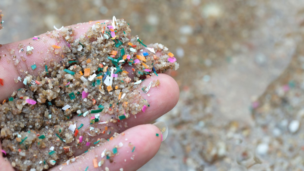 Microplastic waste found within the seaside sand.