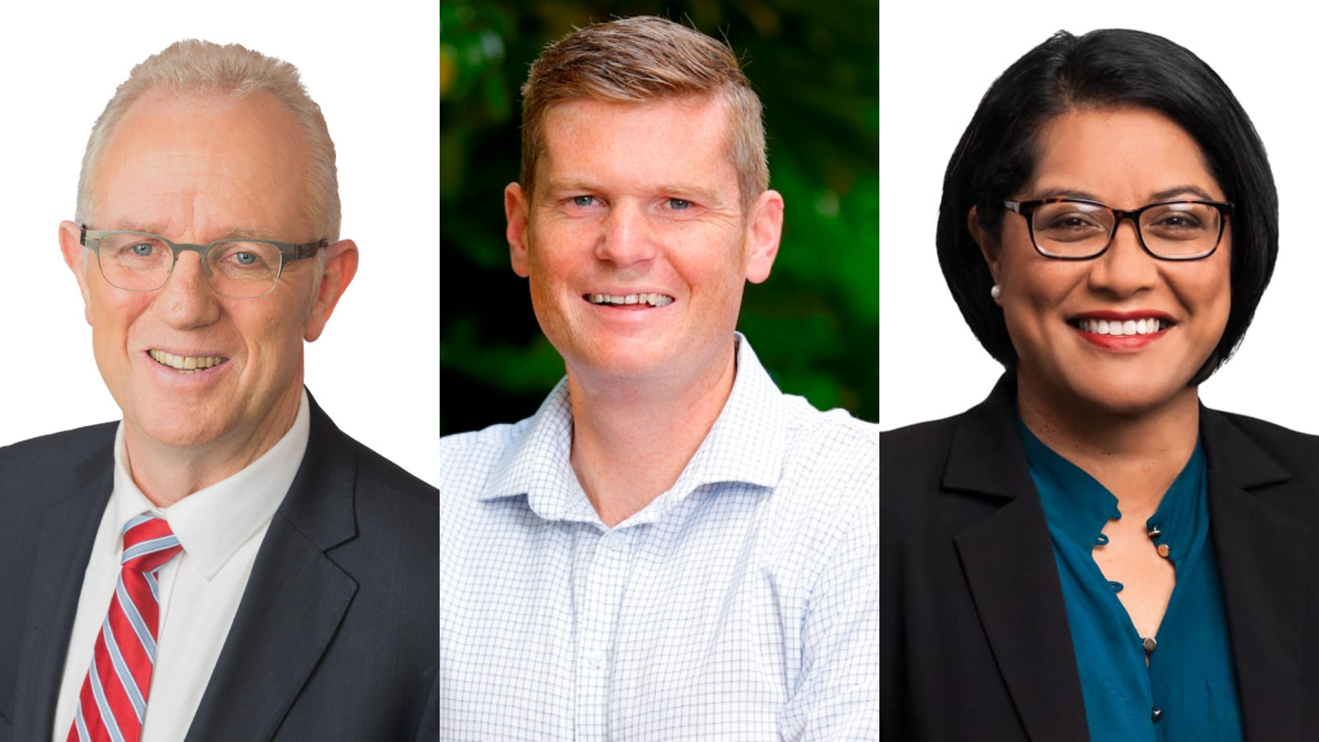 Ōhāriu MP Greg O'Connor, Mana MP Barbara Edmonds and Ōtaki MP Tim Costley.