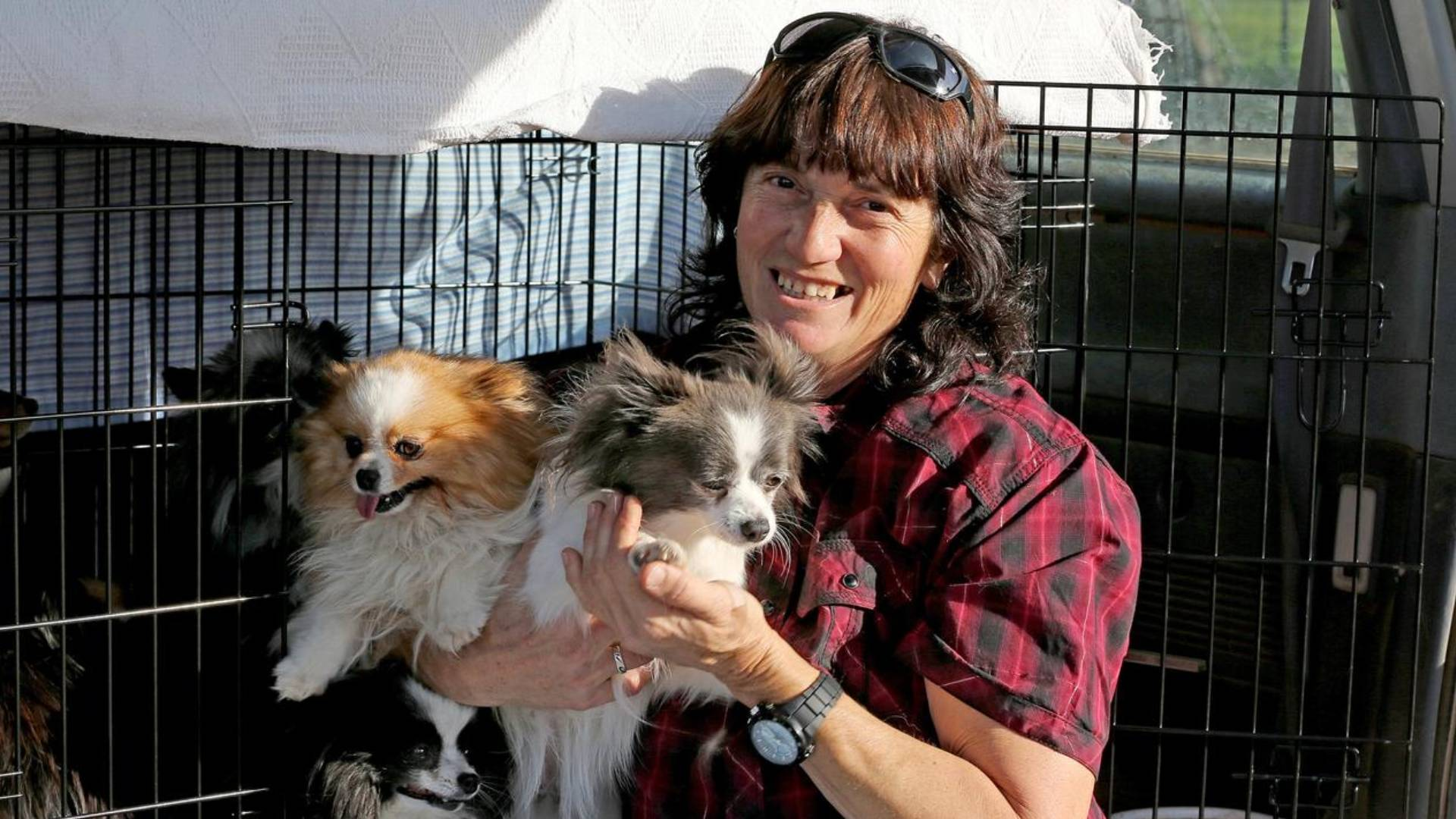 A woman convicted of animal abuse in South Australia is now living under a new name in New Zealand and is, once again, under investigation for mistreating animals, reports SUNDAY's Mava Moayyed.