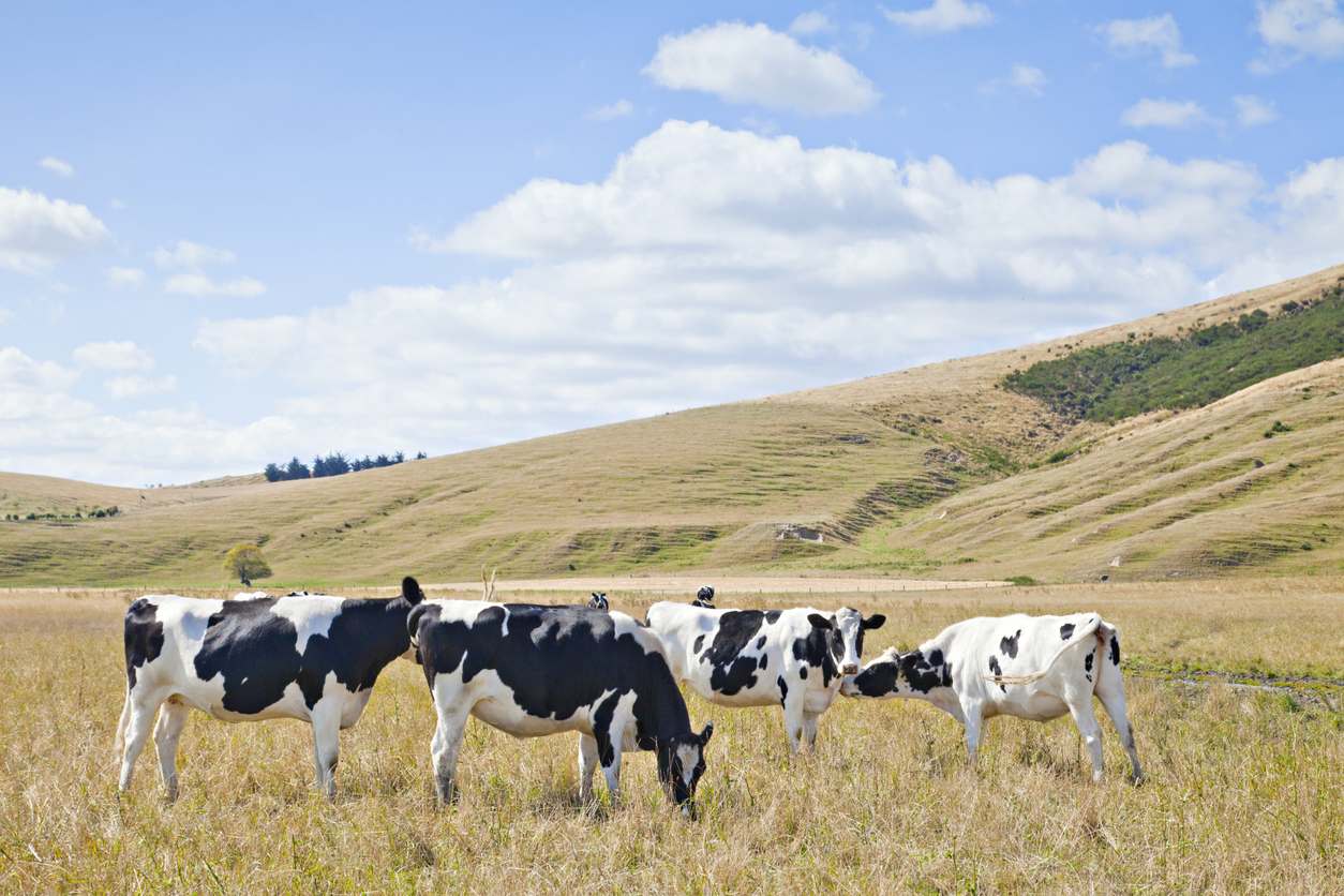 'Predatory delay': Environmental group shuns Nats' ag policy