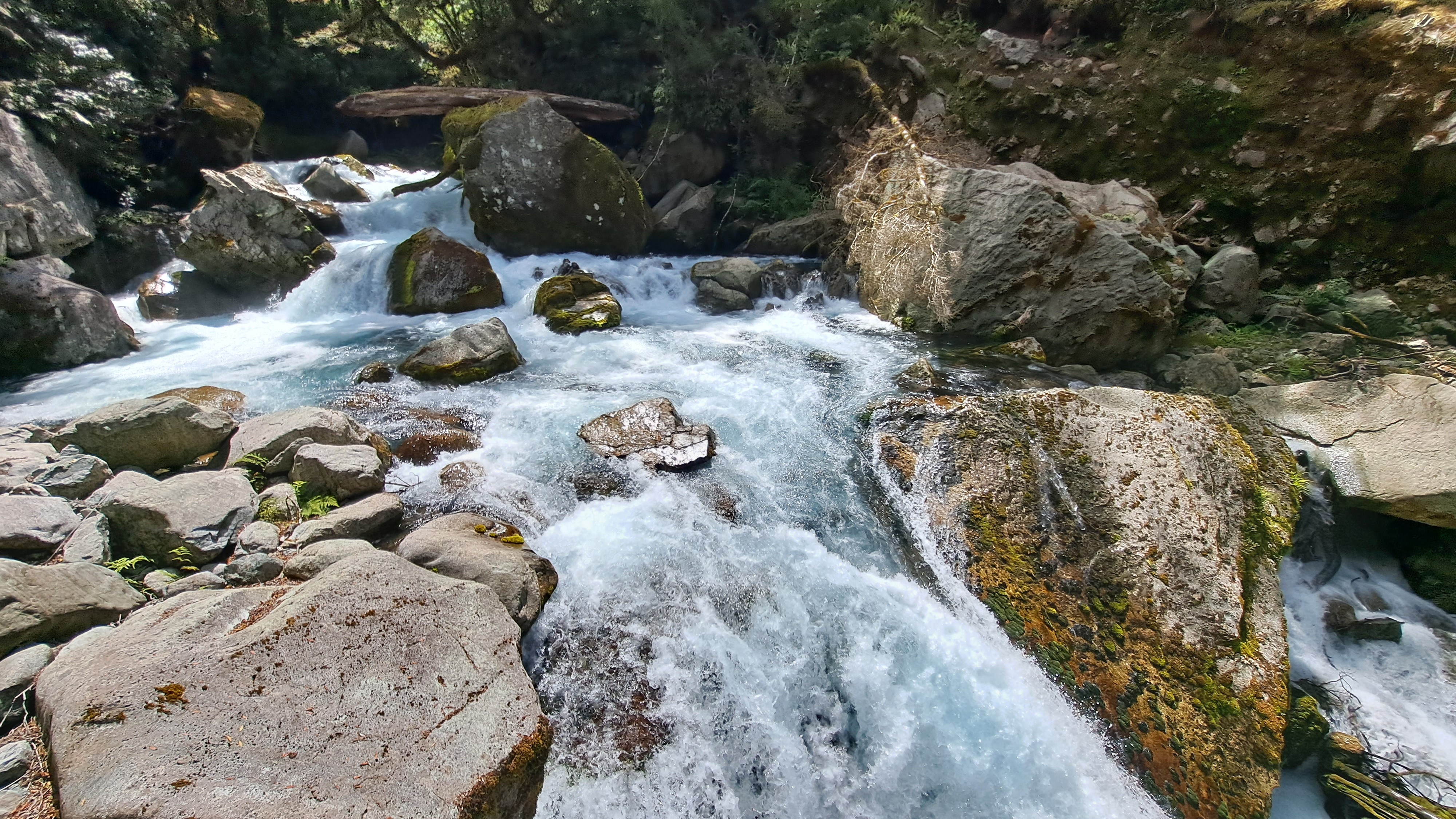 10yo girl dies after being swept down Fiordland creek