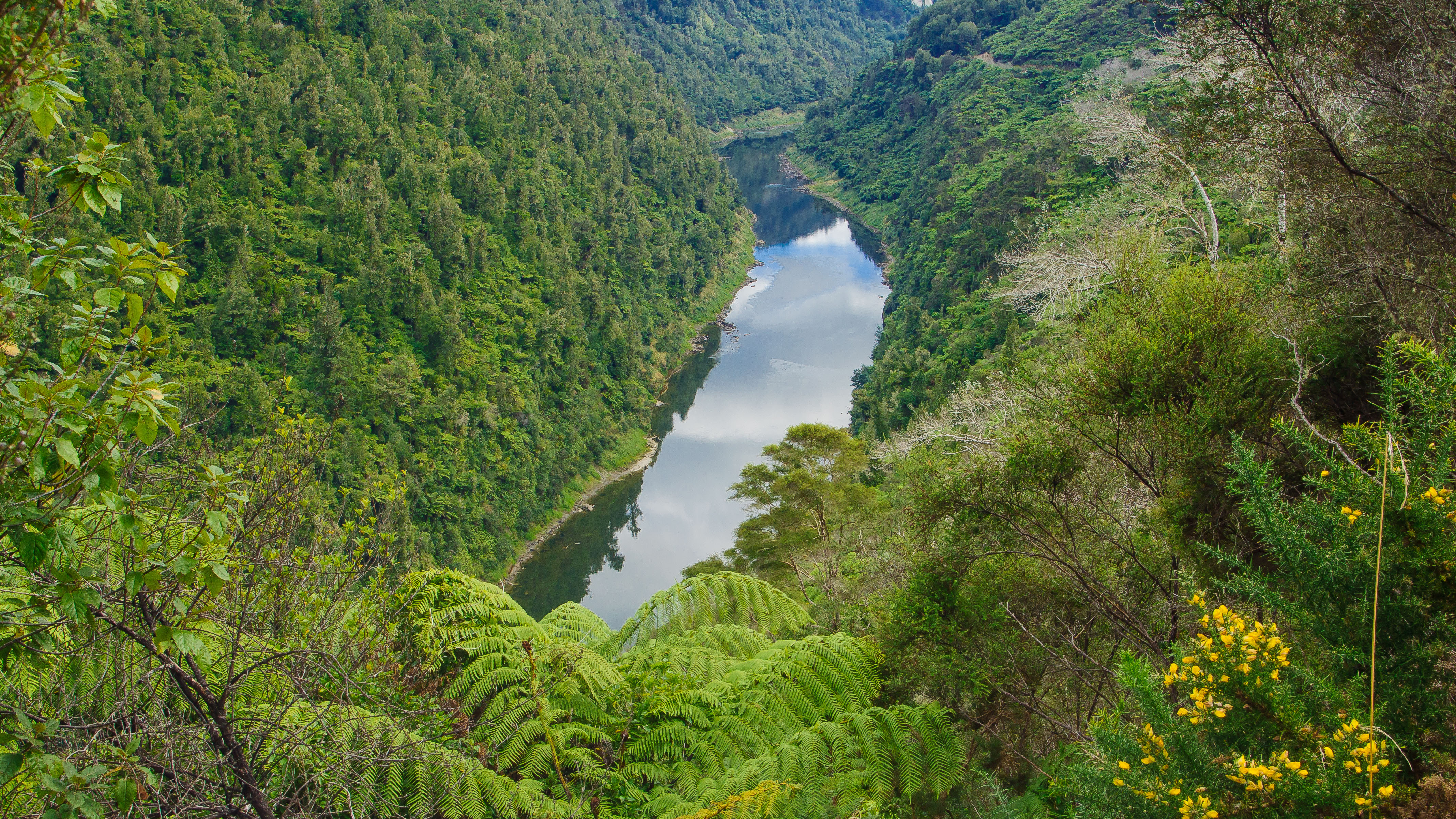 Manawatū and Whanganui district councils have both signalled they won't be submitting an amalgamation proposal by the deadline.