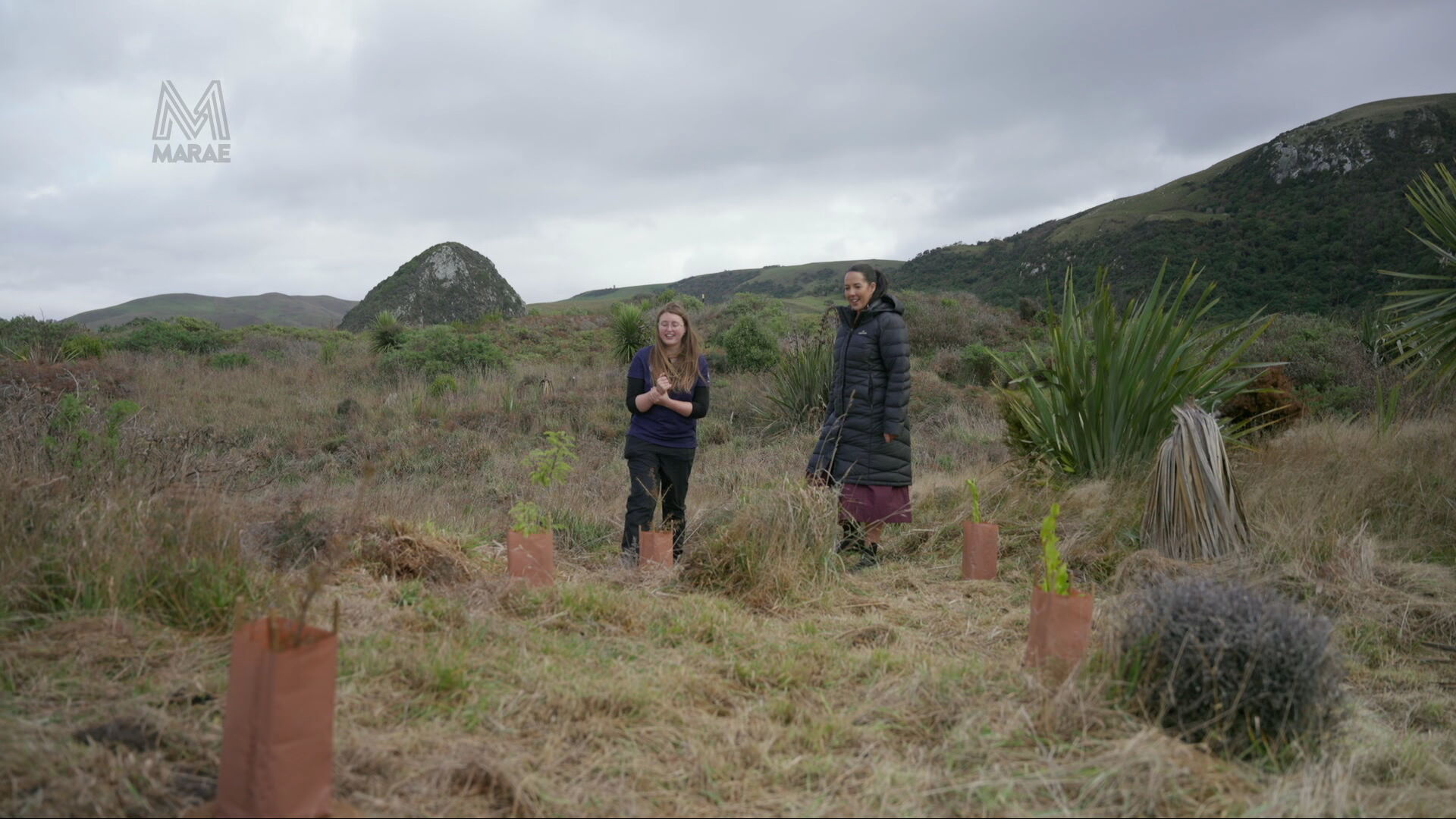 Biodiversity ranger Ariel Daubney (left) shows Marae reporter Leigh-Marama McLachlan the planting done at Ōkia, a nesting site for hoiho.