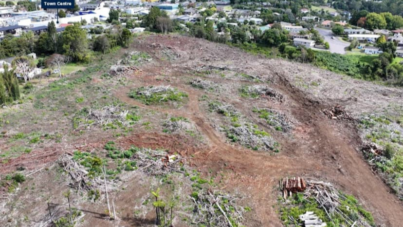 An aerial photo from Bayleys Realty shows the property is now mostly bare land.Photo credit: