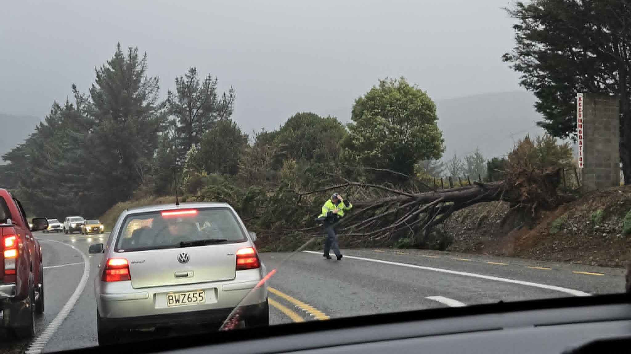 A fallen tree on SH2 near Kaitoke. Source: Lillian Pak