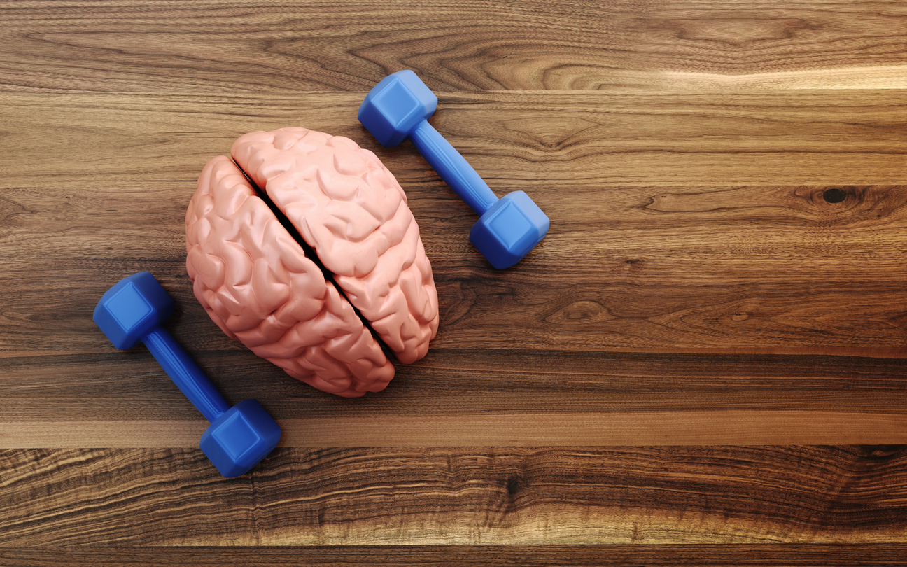 Food choices we make over decades, not just in later life, but across adulthood – may quietly shape the health of our brains