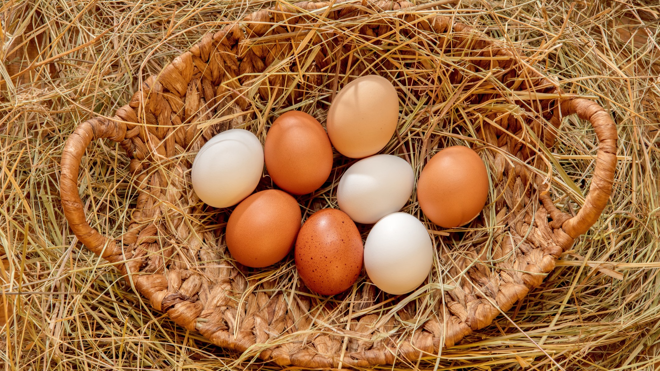 Free eggs a bonus in a cost-of-living crisis. 