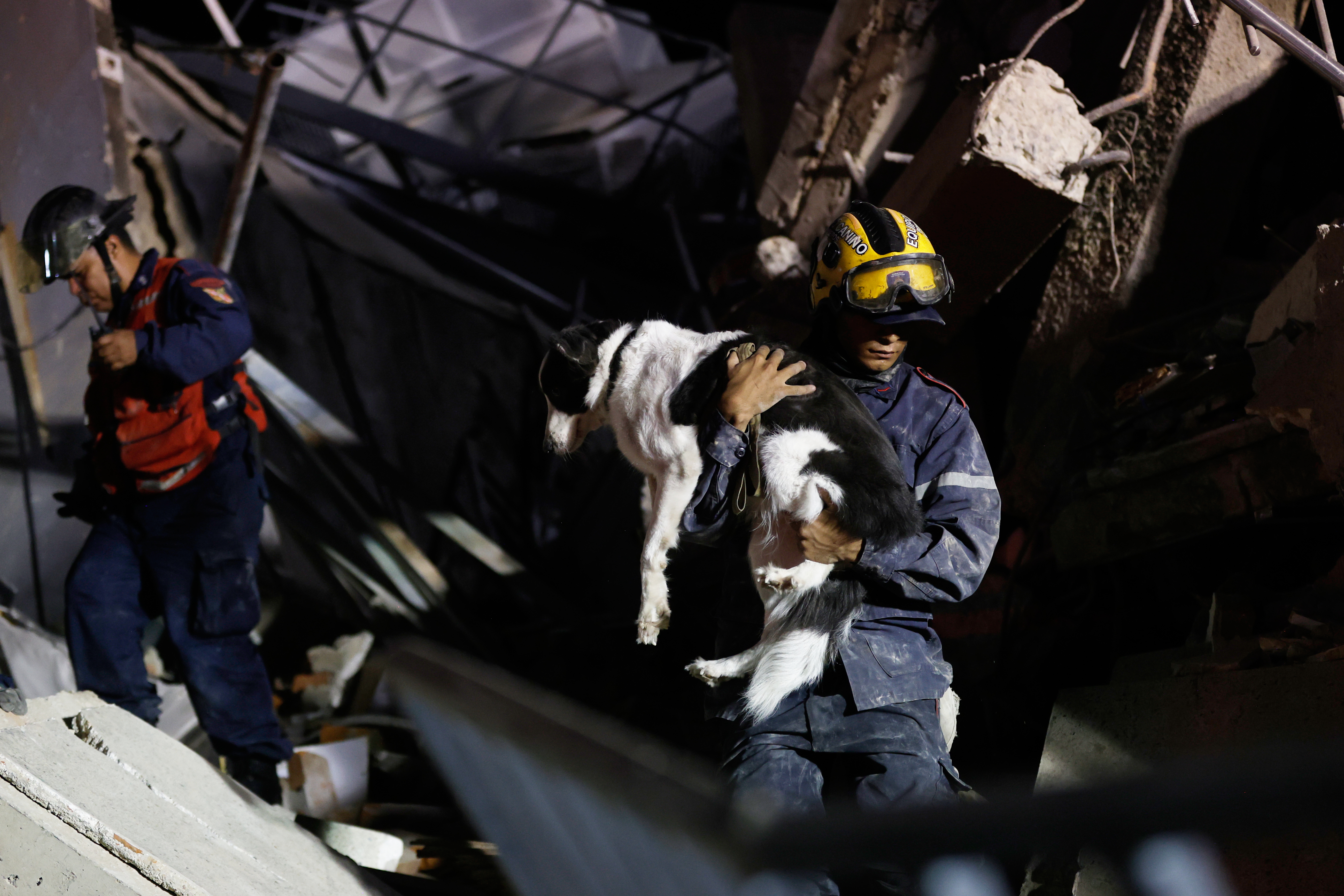A firefighter rescues a dog from a building that collapsed after an earthquake in Caracas, Venezuela, Wednesday, June 24, 2026. 