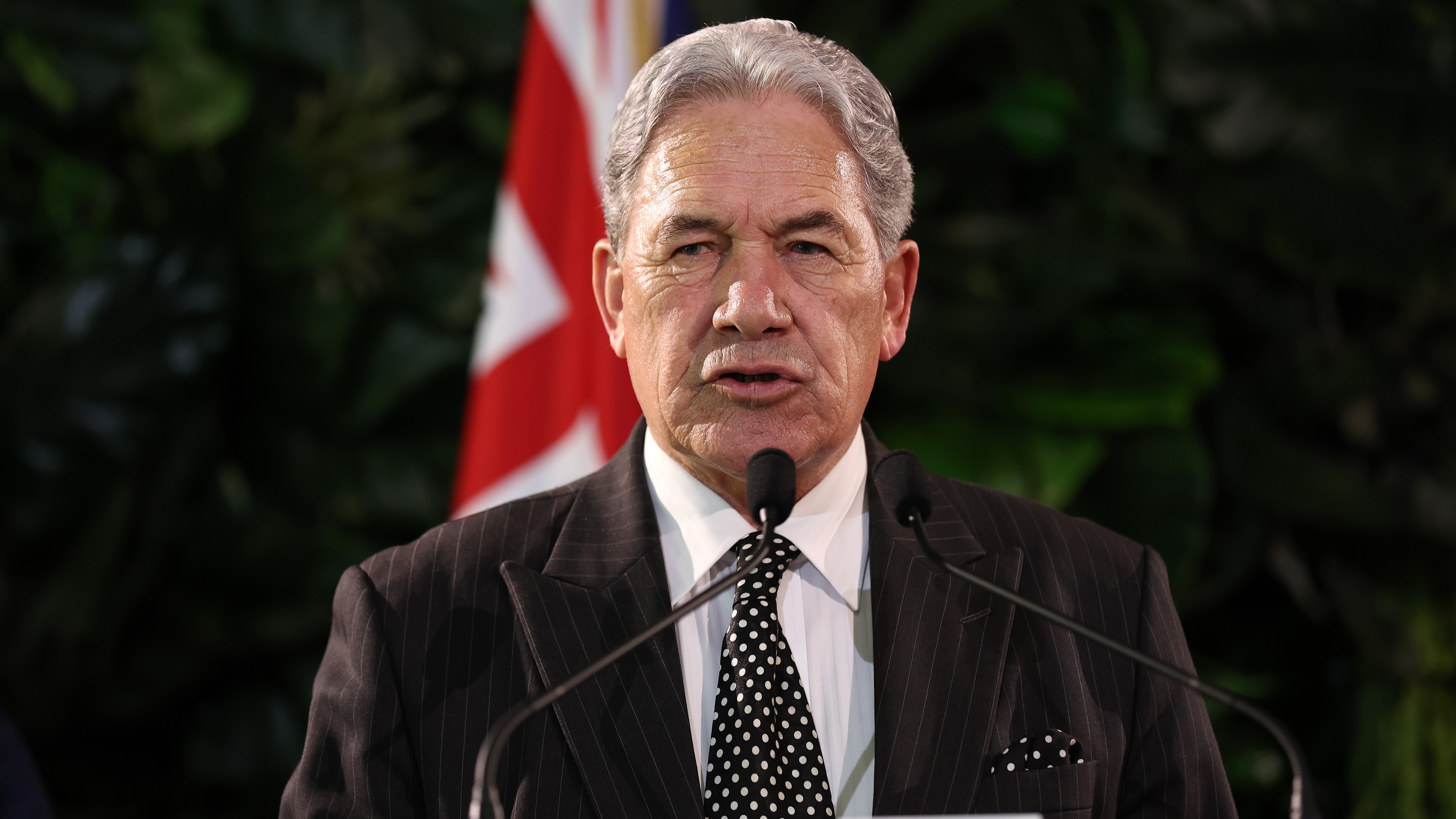 Foreign Minister Winston Peters.