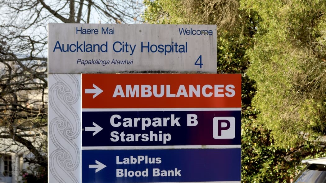Staff at Auckland Hospital have made hundreds of reports about fleas and other insects, and one patient there slipped and fell trying to stomp on a cluster of cockroaches in the shower.