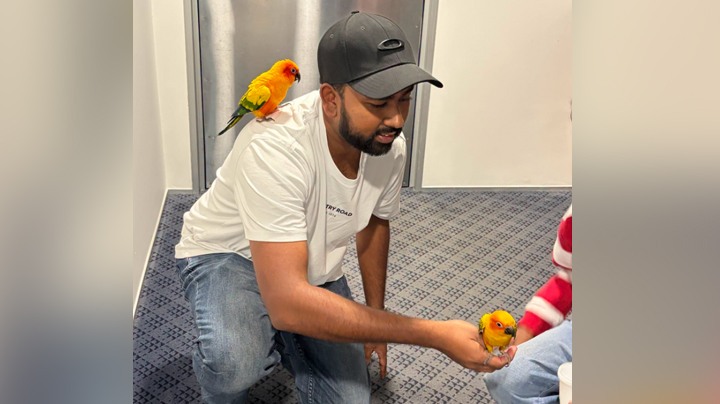Sun conures Nico and Mango have been reunited with their family. (Source: NZ Police)