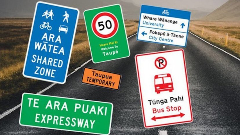 Dunedin council backs Waka Kotahi push for bilingual road signage – Te Ao  Māori News